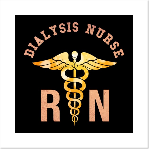 Dialysis Nurse RN Distressed Vintage Caduceus Medical Symbol Wall Art by Midlife50